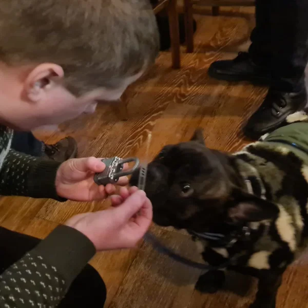 Book the Miscreant Creche - Image 6